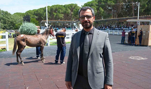 TİGEM tay satışı ve koşulardan bu yıl 500 milyon lira gelir bekliyor