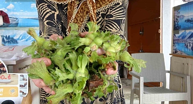 TMO 200 lira açıkladı, tezgahta 300 liradan satışı başladı