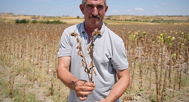 Trakya Birlik’in ayçiçeği avans fiyatına tepki: