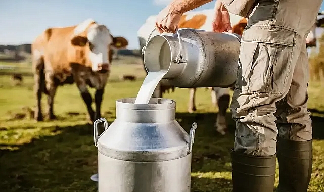 Süt sektörüne kritik müdahale: Yem almazsan sütünü almam dayatmasına son